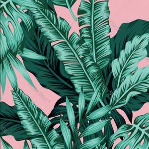 Meet your Posher, Maddie!